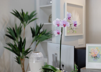 Palm Valley Eye Office